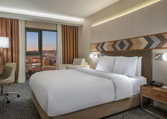 ホテル Mercure Kizilay アンカラ