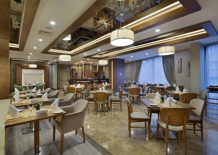 Mercure Kizilay ホテル