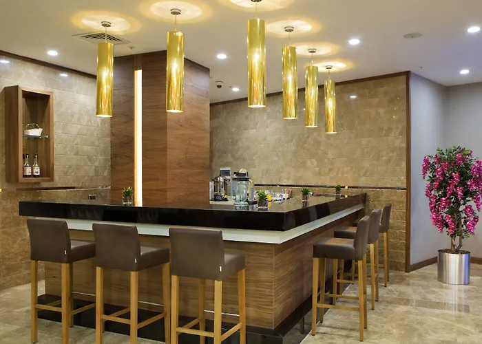 Mercure Kizilay ホテル アンカラ